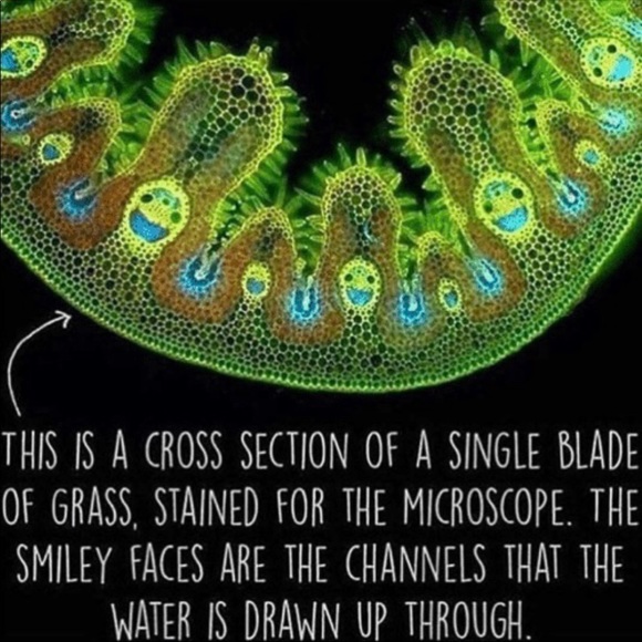 Reach out for offers :) - Picture 1 of 12